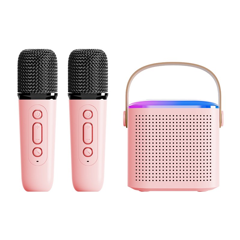 Wireless Karaoke Speaker